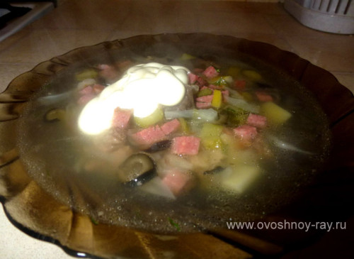 Супы. Солянки.