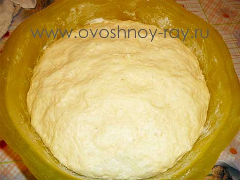 Баурсаки казахские