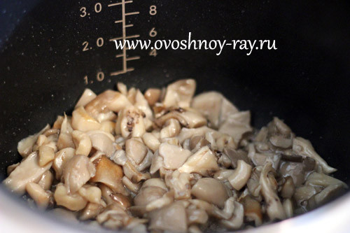 грибы в мутиварке